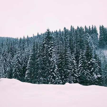 Hotel Osher Bukovel